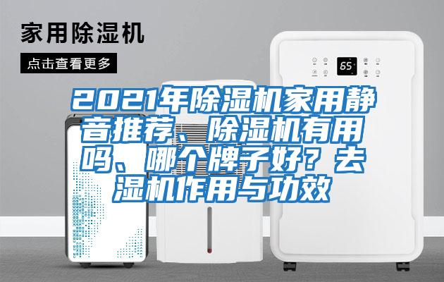 2021年除濕機家用靜音推薦、除濕機有用嗎、哪個牌子好？去濕機作用與功效