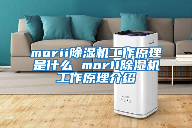 morii除濕機工作原理是什么 morii除濕機工作原理介紹