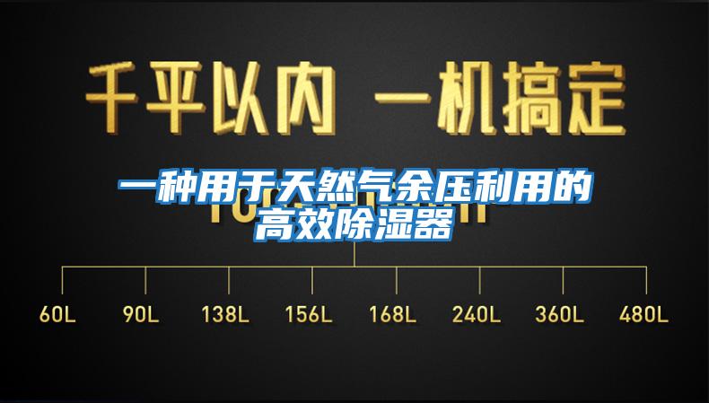 一種用于天然氣余壓利用的高效除濕器