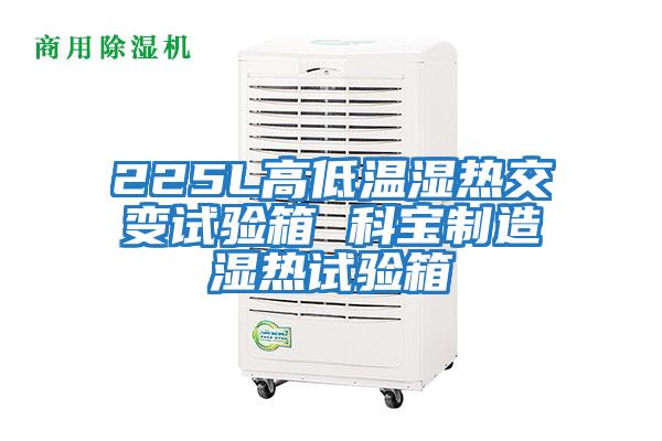 225L高低溫濕熱交變試驗箱 科寶制造濕熱試驗箱