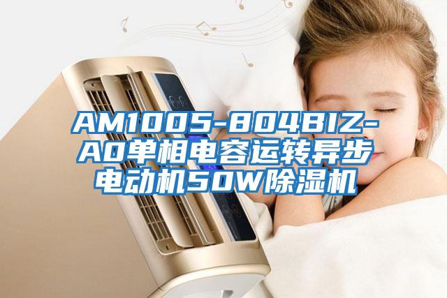 AM1005-804BIZ-A0單相電容運轉異步電動機50W除濕機