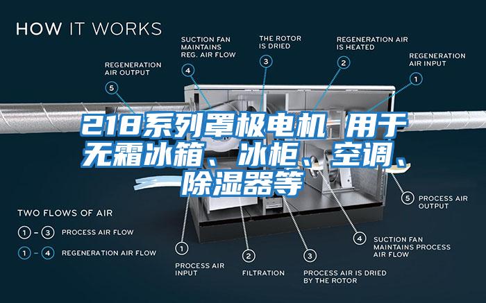 218系列罩極電機(jī) 用于無霜冰箱、冰柜、空調(diào)、除濕器等