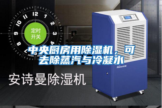 中央廚房用除濕機，可去除蒸汽與冷凝水