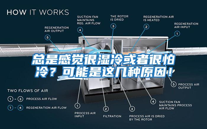 總是感覺很濕冷或者很怕冷？可能是這幾種原因！