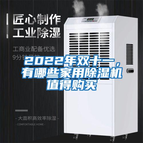 2022年雙十一，有哪些家用除濕機值得購買