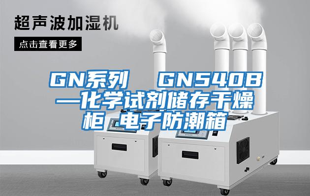 GN系列  GN540B—化學(xué)試劑儲(chǔ)存干燥柜 電子防潮箱