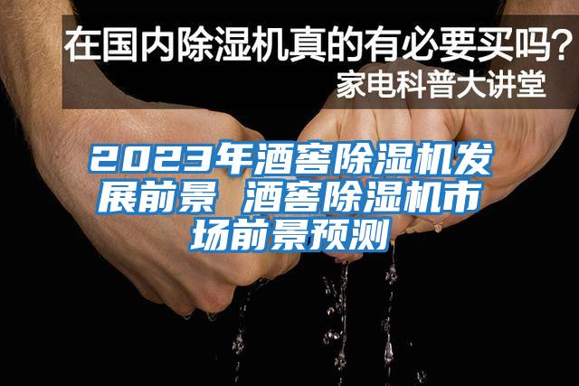 2023年酒窖除濕機發(fā)展前景 酒窖除濕機市場前景預測