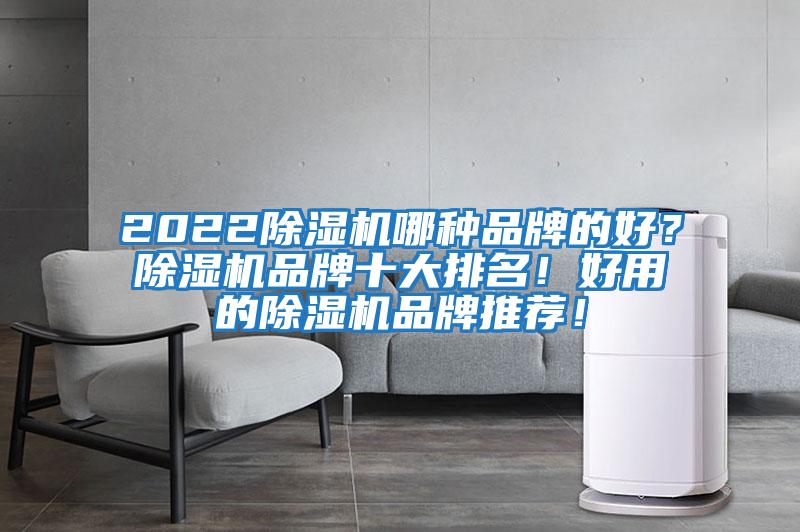 2022除濕機(jī)哪種品牌的好？除濕機(jī)品牌十大排名！好用的除濕機(jī)品牌推薦！