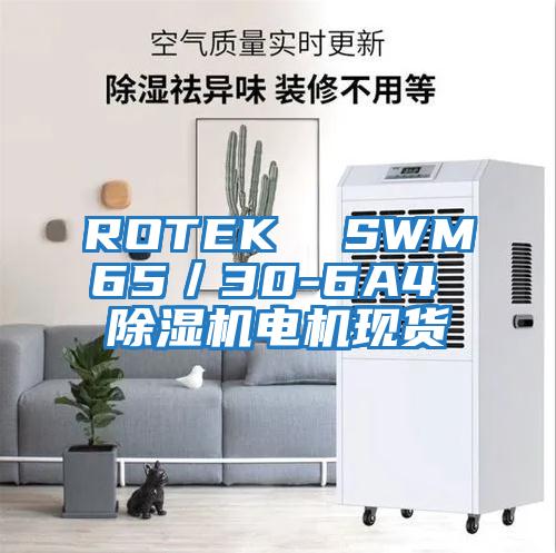 ROTEK  SWM65／30-6A4 除濕機(jī)電機(jī)現(xiàn)貨