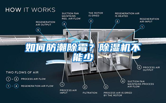 如何防潮除霉？除濕機不能少