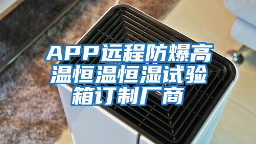 APP遠程防爆高溫恒溫恒濕試驗箱訂制廠商