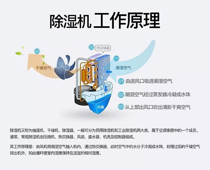 中藥材怎么烘干不變色？中藥材烘干用除濕機