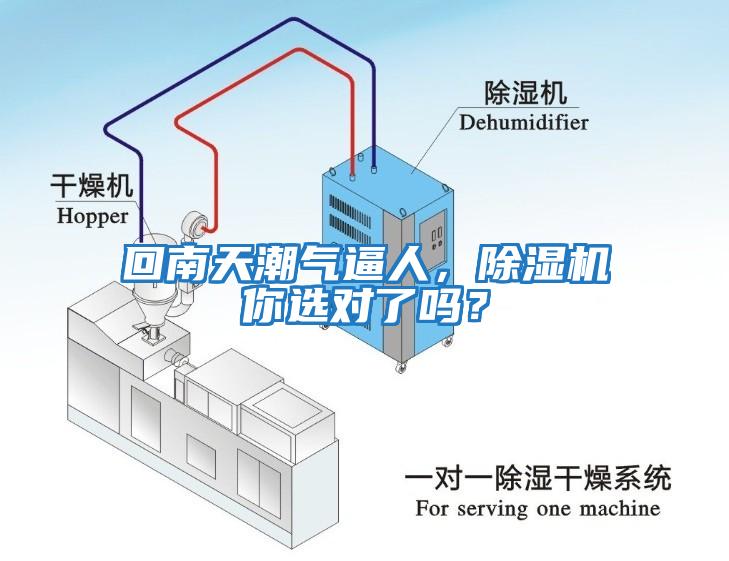 回南天潮氣逼人，除濕機(jī)你選對(duì)了嗎？