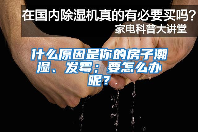 什么原因是你的房子潮濕、發(fā)霉；要怎么辦呢？