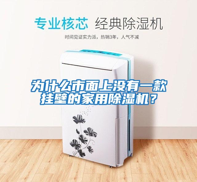 為什么市面上沒有一款掛壁的家用除濕機？