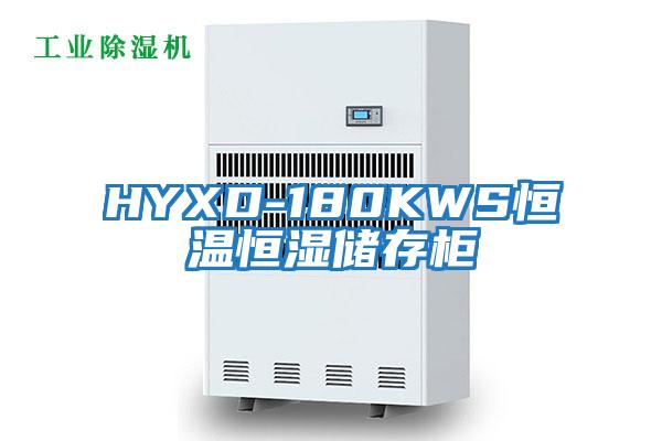 HYXD-180KWS恒溫恒濕儲存柜