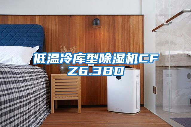 低溫冷庫型除濕機CFZ6.3BD