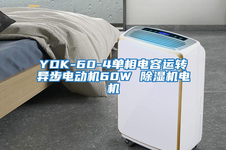 YDK-60-4單相電容運轉(zhuǎn)異步電動機(jī)60W 除濕機(jī)電機(jī)