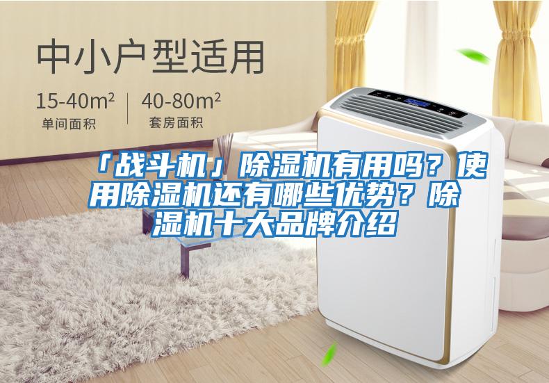 「戰(zhàn)斗機」除濕機有用嗎？使用除濕機還有哪些優(yōu)勢？除濕機十大品牌介紹