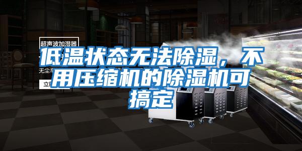 低溫狀態(tài)無法除濕，不用壓縮機的除濕機可搞定