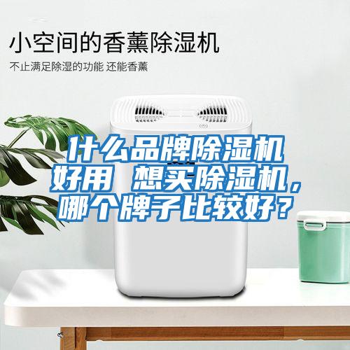 什么品牌除濕機好用 想買除濕機，哪個牌子比較好？