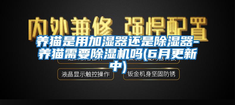 養(yǎng)貓是用加濕器還是除濕器-養(yǎng)貓需要除濕機(jī)嗎(6月更新中)