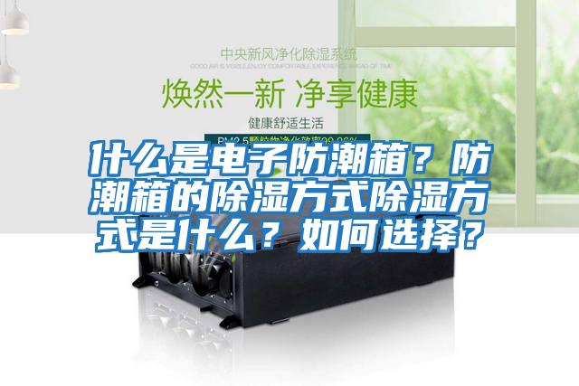 什么是電子防潮箱？防潮箱的除濕方式除濕方式是什么？如何選擇？