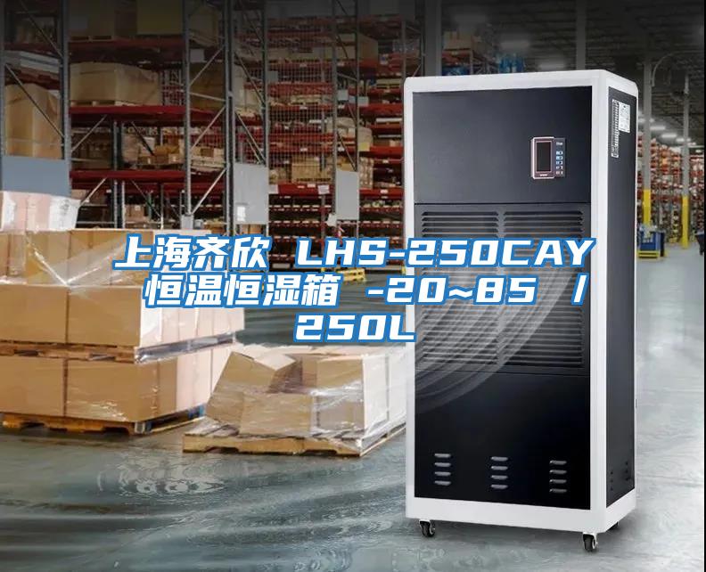 上海齊欣 LHS-250CAY 恒溫恒濕箱 -20~85℃／250L