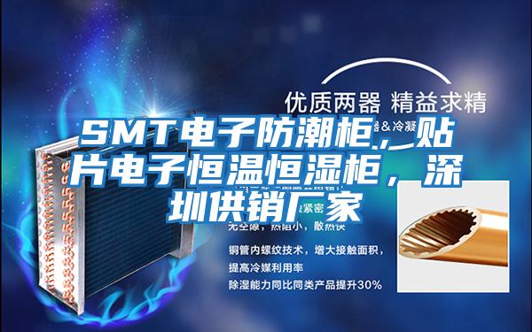 SMT電子防潮柜，貼片電子恒溫恒濕柜，深圳供銷廠家