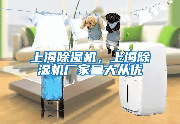 上海除濕機，上海除濕機廠家量大從優(yōu)