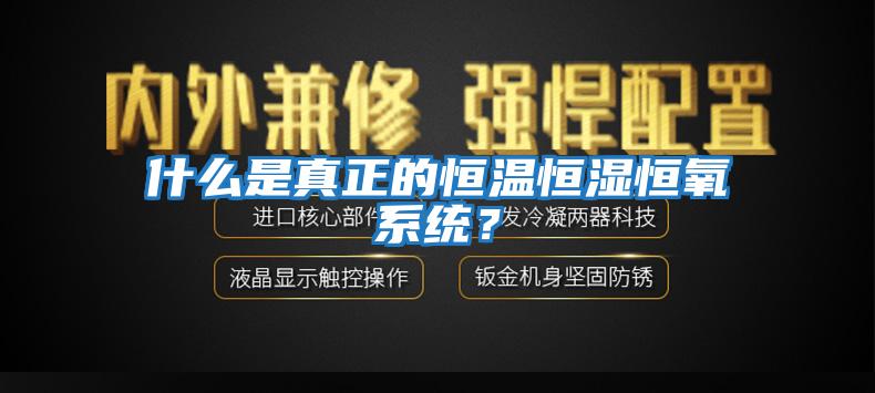 什么是真正的恒溫恒濕恒氧系統(tǒng)？