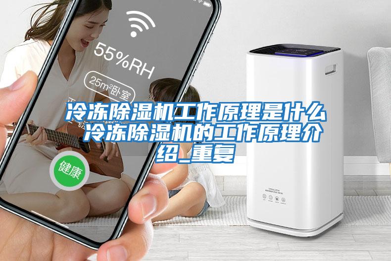 冷凍除濕機工作原理是什么 冷凍除濕機的工作原理介紹_重復(fù)