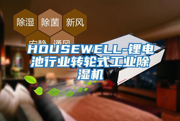 HOUSEWELL-鋰電池行業(yè)轉輪式工業(yè)除濕機