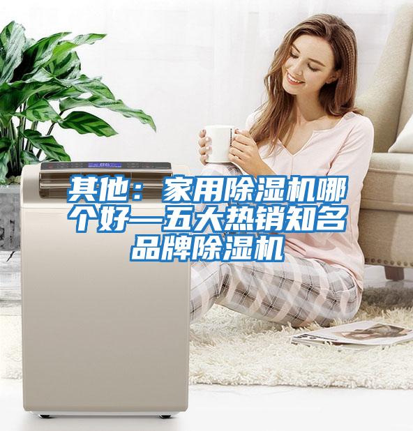 其他：家用除濕機(jī)哪個(gè)好—五大熱銷知名品牌除濕機(jī)