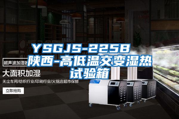 YSGJS-225B  陜西-高低溫交變濕熱試驗箱