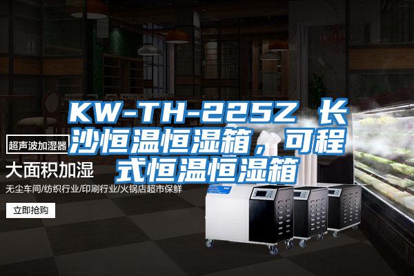 KW-TH-225Z 長沙恒溫恒濕箱，可程式恒溫恒濕箱