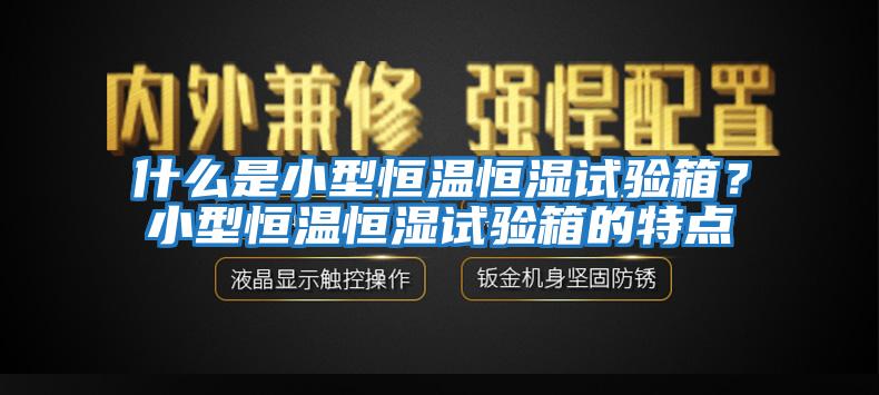 什么是小型恒溫恒濕試驗(yàn)箱？小型恒溫恒濕試驗(yàn)箱的特點(diǎn)