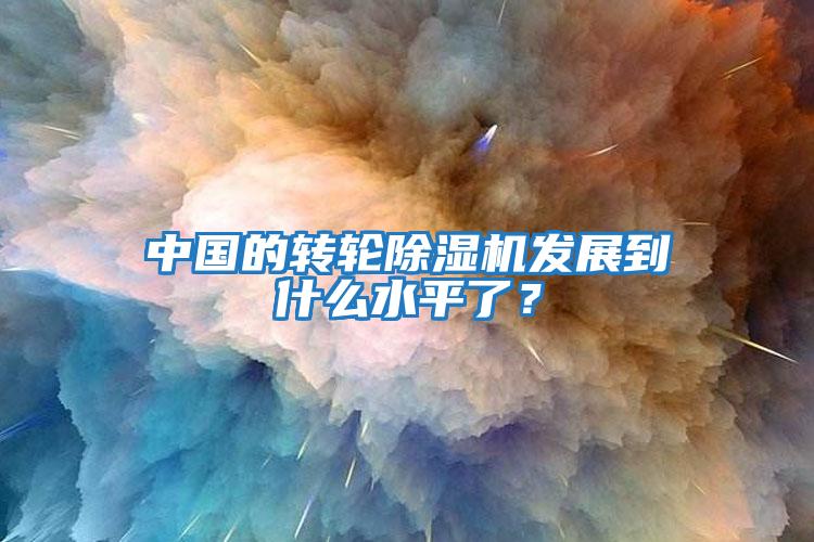 中國的轉(zhuǎn)輪除濕機(jī)發(fā)展到什么水平了？