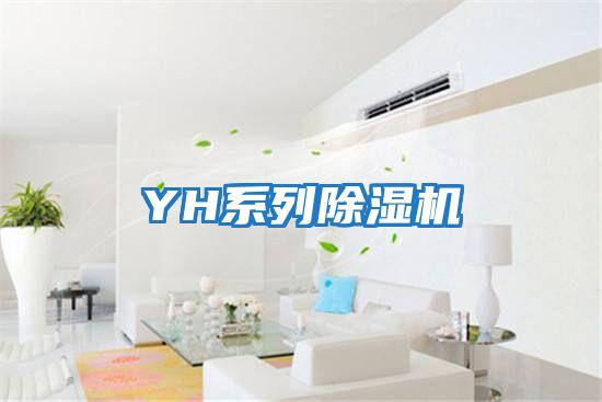 YH系列除濕機