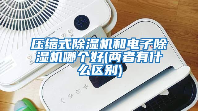 壓縮式除濕機和電子除濕機哪個好(兩者有什么區(qū)別)