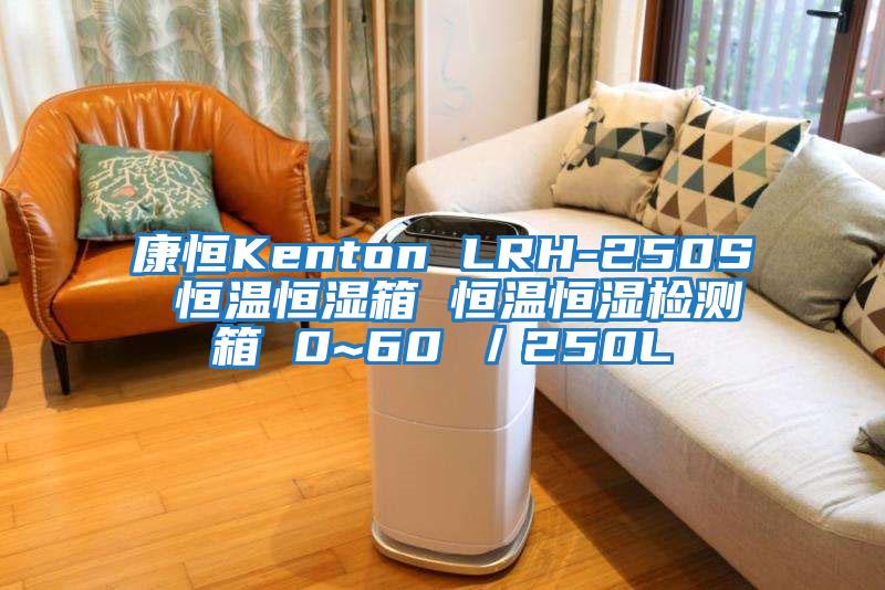 康恒Kenton LRH-250S 恒溫恒濕箱 恒溫恒濕檢測箱 0~60℃／250L