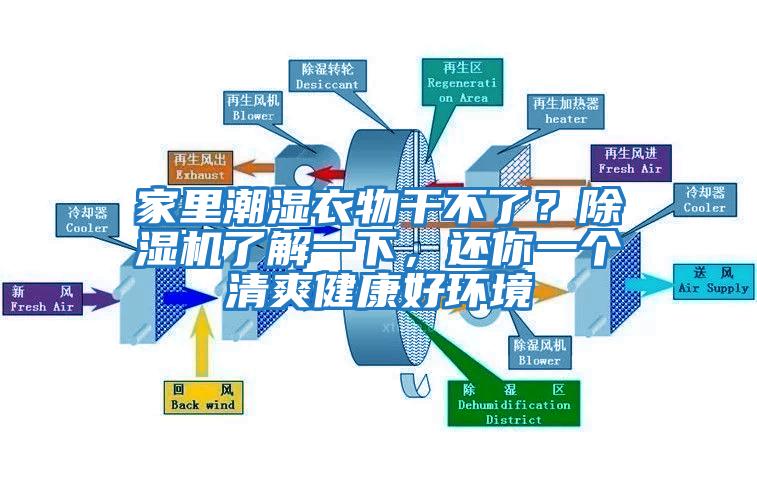 家里潮濕衣物干不了？除濕機(jī)了解一下，還你一個(gè)清爽健康好環(huán)境