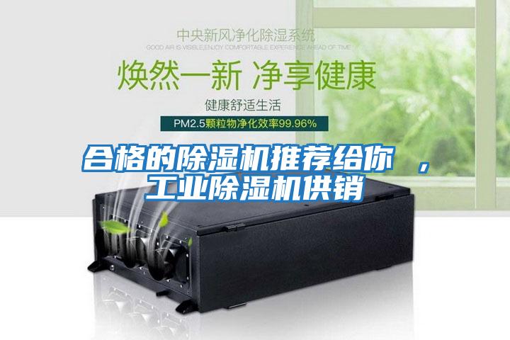 合格的除濕機推薦給你 ，工業(yè)除濕機供銷