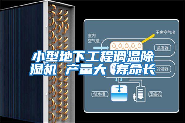 小型地下工程調(diào)溫除濕機 產(chǎn)量大 壽命長