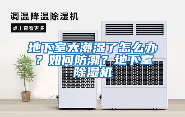 地下室太潮濕了怎么辦？如何防潮？地下室除濕機(jī)