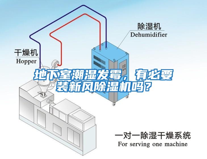 地下室潮濕發(fā)霉，有必要裝新風(fēng)除濕機(jī)嗎？