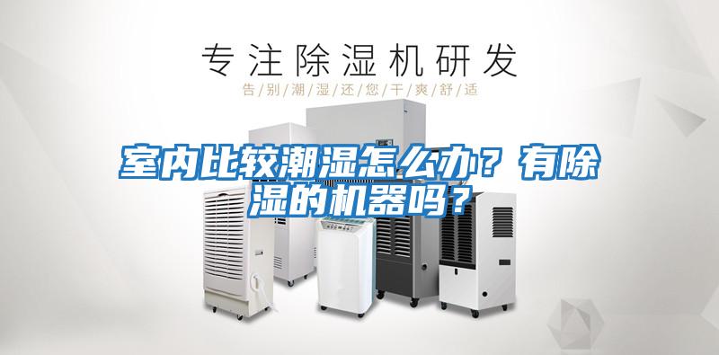 室內(nèi)比較潮濕怎么辦？有除濕的機器嗎？