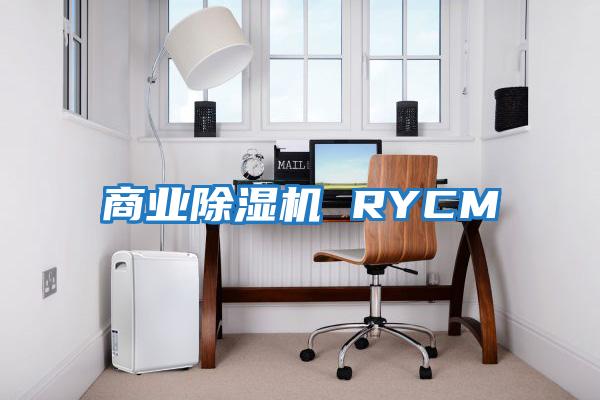 商業(yè)除濕機 RYCM