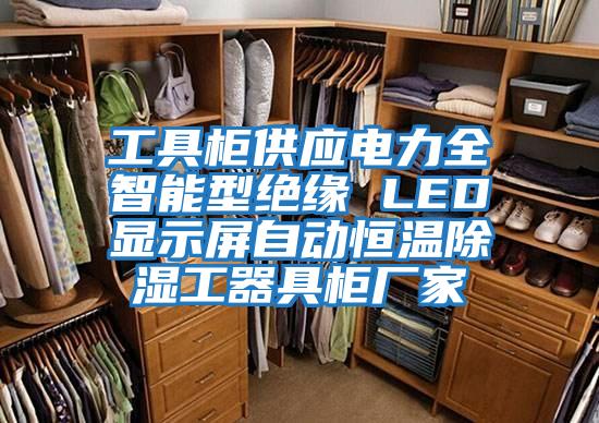 工具柜供應(yīng)電力全智能型絕緣 LED顯示屏自動恒溫除濕工器具柜廠家