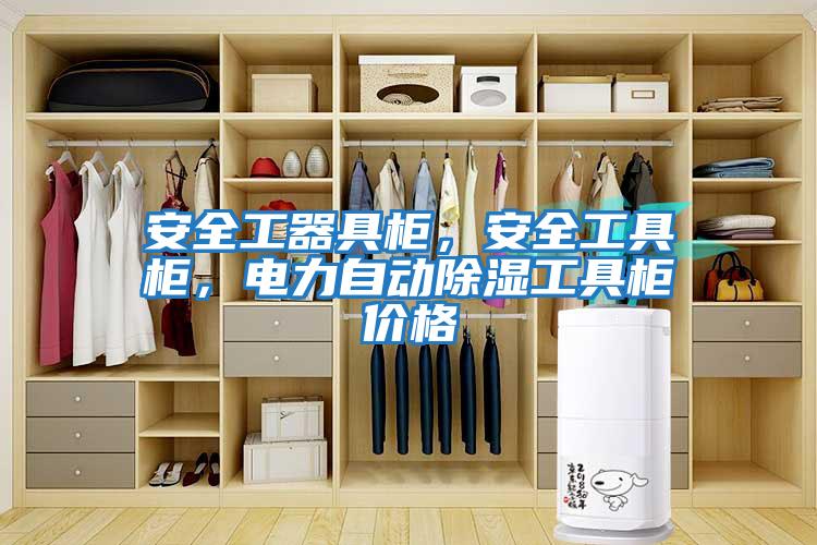 安全工器具柜，安全工具柜，電力自動除濕工具柜價格